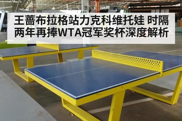 王蔷布拉格站力克科维托娃 时隔两年再捧WTA冠军奖杯深度解析
